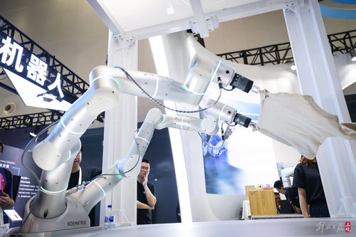 共商人工智能未來 世博展覽館再掀AI熱潮，聚焦人工智能基礎(chǔ)軟件開發(fā)